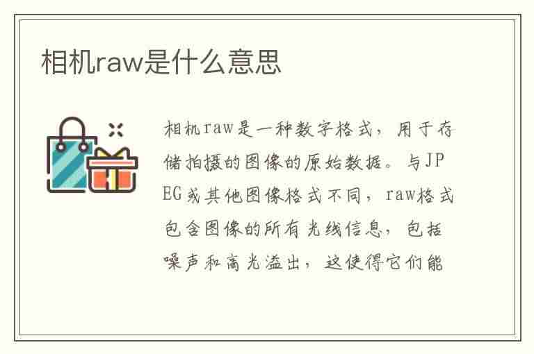 相机raw是什么意思(苹果相机raw是什么意思)